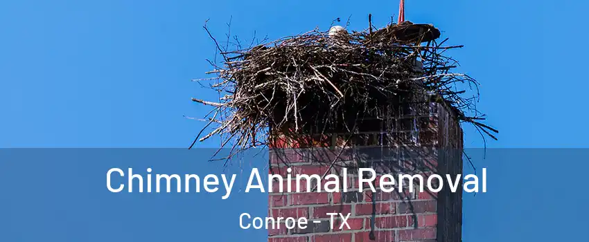 Chimney Animal Removal Conroe - TX
