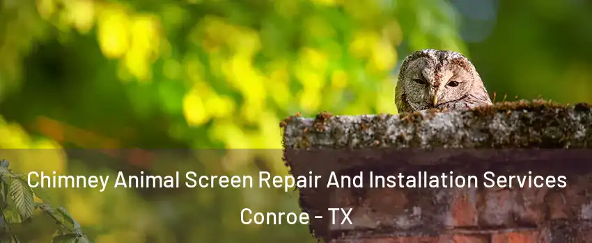  Chimney Animal Screen Repair And Installation Services Conroe - TX