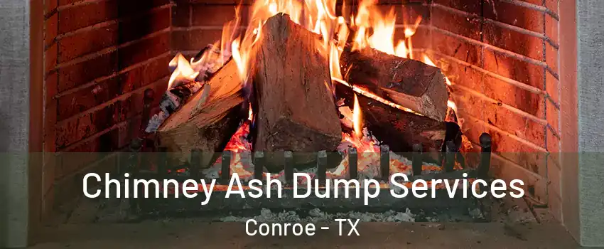  Chimney Ash Dump Services Conroe - TX