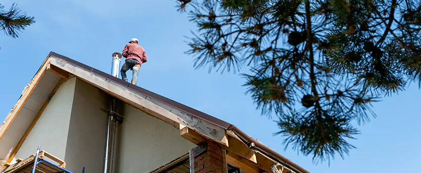 Birds Removal Contractors from Chimney in Conroe, TX