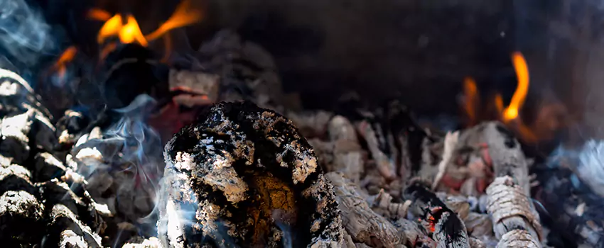 Creosote Removal Experts in Conroe, TX