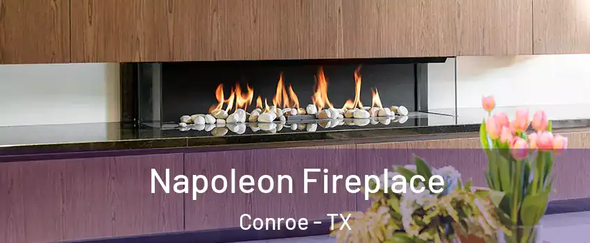  Napoleon Fireplace Conroe - TX